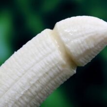 Penis Thickening Penis Enlargement