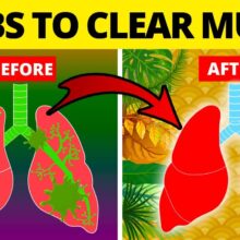 5 Herbs for Lung Health, Clearing Mucus, COPD, and Killing Viruses