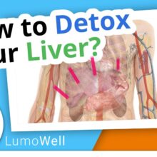 Liver cleanse: how to detox your liver? Diet, foods and natural tips