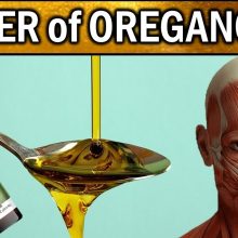 7 POWERFUL Health Benefits & Uses of OREGANO OIL | Miracle Healing