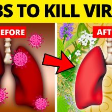 Top 10 Herbs for Lung Health, Clearing Mucus, COPD, and Killing Viruses