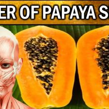 8 Unbelievable Health Benefits of Eating Papaya Seeds – You Won’t Believe What Happens!